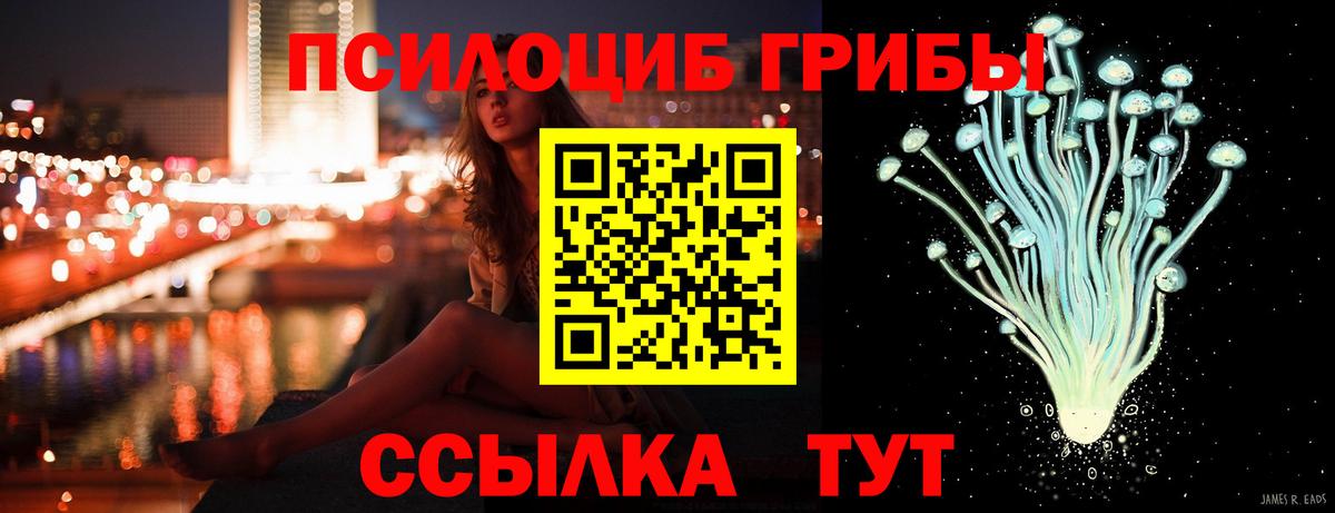 Галлюциногенные грибы прущие грибы Рославль