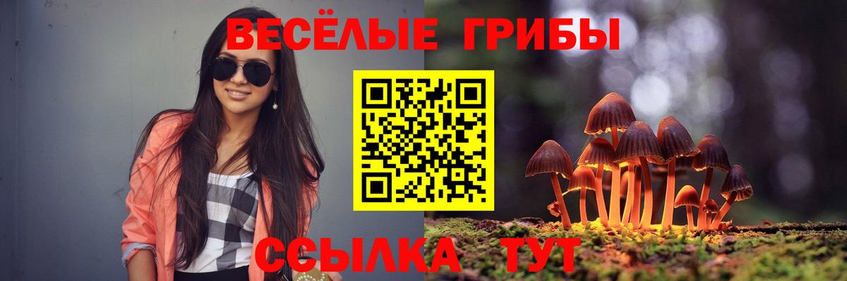 Псилоцибиновые грибы MAGIC MUSHROOMS  Вход с VPN  Рославль 
